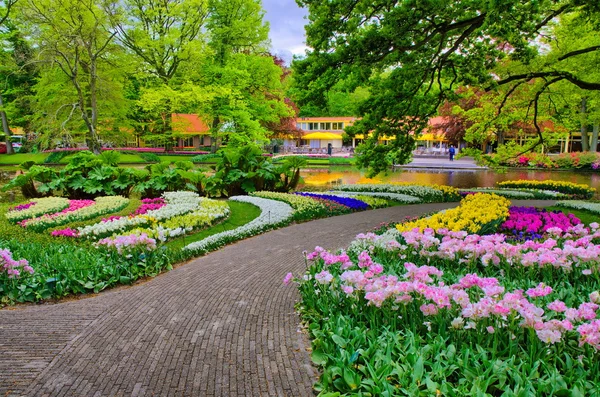 Аллея среди разноцветных тюльпанов, Кекенский парк, Лиссе в Голландии — стоковое фото
