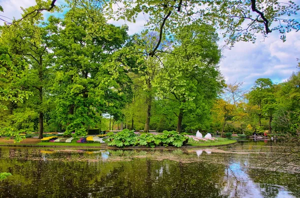 Lago com belos cisnes brancos no parque Keukenhof, Lisse, Holanda — Fotografia de Stock