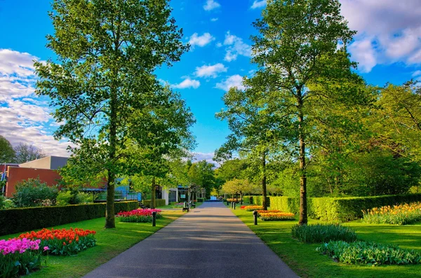 Beco sombrio, Keukenhof Park, Lisse na Holanda — Fotografia de Stock