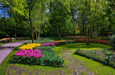 Renkli lale, Keukenhof Park, Hollanda'da Lisse