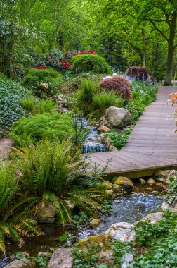 Creek ve yol, Keukenhof Park, Hollanda'da Lisse