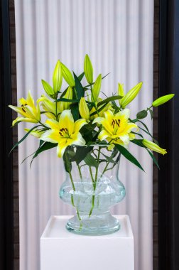 Yellow white lilies in glass vase, Keukenhof Park, Lisse