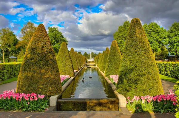 Pequeño estanque estrecho entre árboles de cono, Keukenhof Park, Lisse en Holanda — Foto de Stock