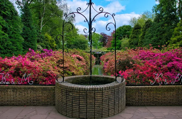 Belo poço com flores de azálea rosa em Keukenhof Park, Lisse, Holanda — Fotografia de Stock