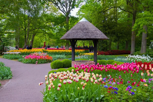 Brunnen mit bunten Tulpen, keukenhof park, lisse in holland — Stockfoto