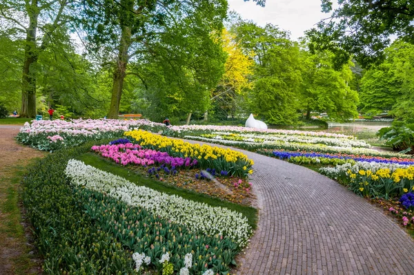 Aleja wśród kolorowych tulipanów, parku Keukenhof, Lisse w Holandii — Zdjęcie stockowe