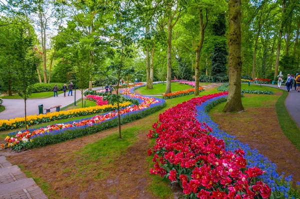 Senderos de flores de colores, Parque Keukenhof, Lisse en Holanda —  Fotos de Stock