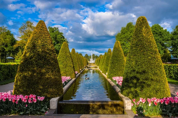 Pequeño estanque estrecho entre árboles de cono, Keukenhof Park, Lisse en Holanda — Foto de Stock