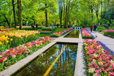 Su yolu Lisse Hollanda'da Keukenhof Park, renkli Lale tarafından çevrili