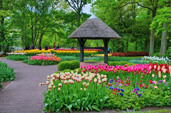 Bem com tulipas coloridas em Keukenhof Park, Lisse na Holanda — Fotografia de Stock