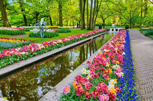 Caminho de água cercado por tulipas coloridas, Keukenhof Park, Lisse na Holanda — Fotografia de Stock