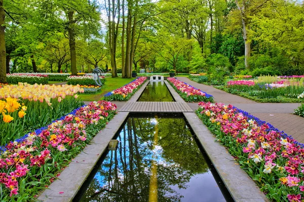 Woda ścieżka otoczonym przez kolorowe tulipany, parku Keukenhof, Lisse w Holandii — Zdjęcie stockowe