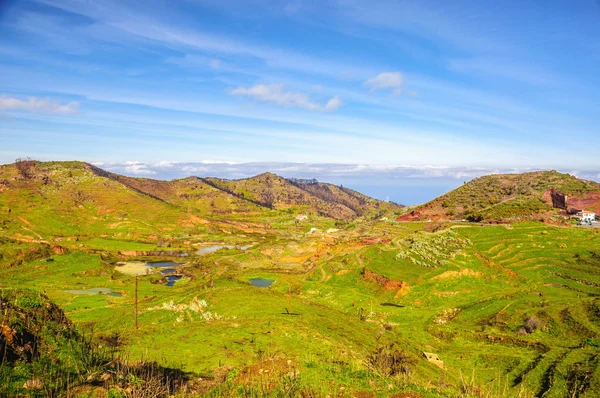 Gröna highland på Teneriffa, Kanarieöarna — Stockfoto