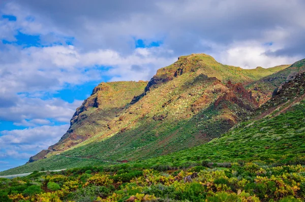 Grüne Berge auf Teneriffa, Kanarische Inseln. — Stockfoto