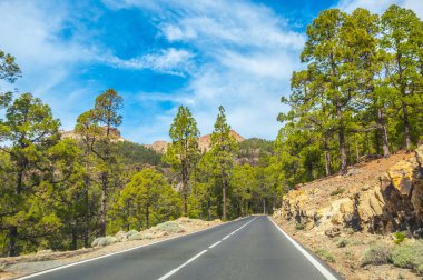 Corona Forestal doğa parkı, Te Kanarya pines yolda