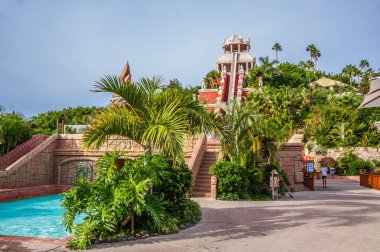 Avuç içi ve ağaçları auqa Park Tenerife, İspanya ile slayt