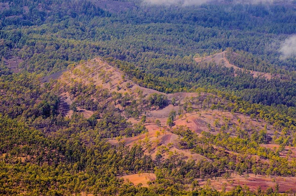 Forêts de pins, vue depuis le volcan Teide à Tenerife, Espagne — Photo