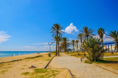 Tarihi palms Hammamet Tunus için güneşli kumsalda