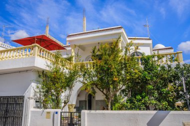 Beyaz nar ağaçları Hammamet Tunus ile bina