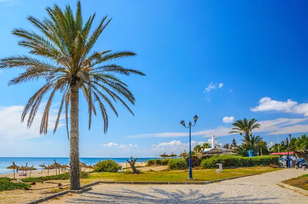 Hurma Hammamet Tunus plaj