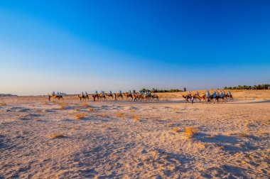 Sahara Çölü, Tunus, Afrika'da gidiş deve karavan