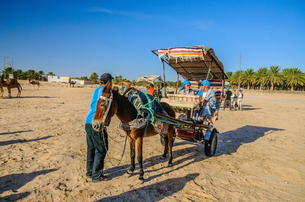 HAMMAMET, TUNISIA - Ott 2014: Asino con carro nel deserto del Sahara il 7 ottobre 2014 — Foto Stock