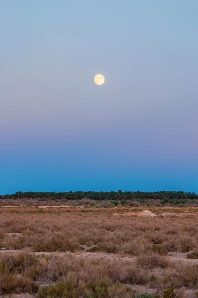 Moon above salt desert Chott el Djerid, Sahara desert, Tunisia, Africa — Stock Photo, Image