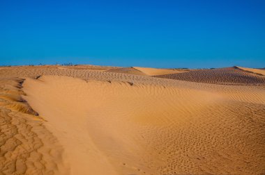 Tunus çöl manzara mavi gökyüzü ile. Dunes arka plan.