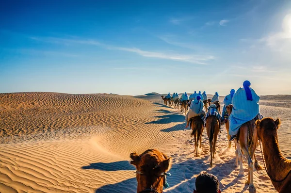 Camels caravan going in sahara desert, Tunisia, Africa — Stock Photo, Image