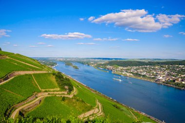 Vineyards and ruins near Rhine river, Bingen am Rhein, Rheinland