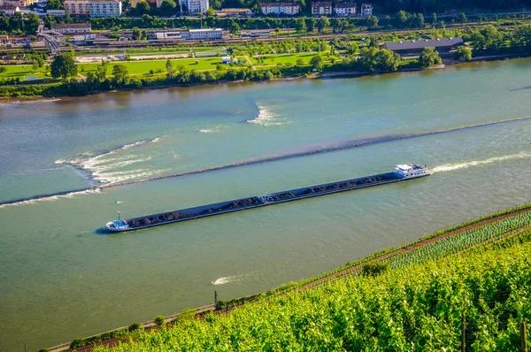 Extra long barge ship is transporting coal on Rhine river near B — Stockfoto