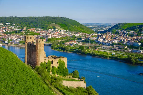 Ehrenfels zamek na brzegiem Renu, w pobliżu Ruedesheim — Zdjęcie stockowe