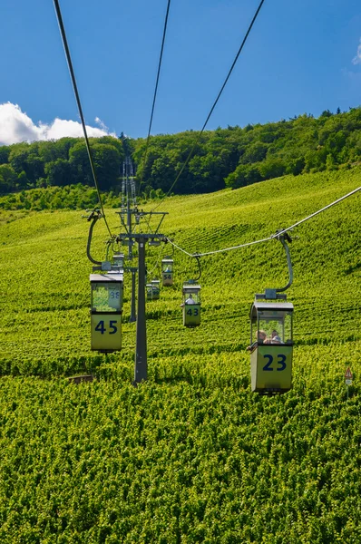 Sky lift ovan grön vingård, Ruedesheim, Rheinland-Pfalz, Tyskland — Stockfoto