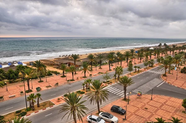 Beach alley z Data palmy w Al-Hammamat, Tunezja, śródziemnomorskim — Zdjęcie stockowe
