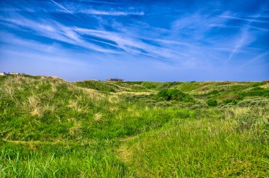 Mavi gökyüzü Kuzey Denizi, Z altında yemyeşil çim alanının arka plan görüntüsü