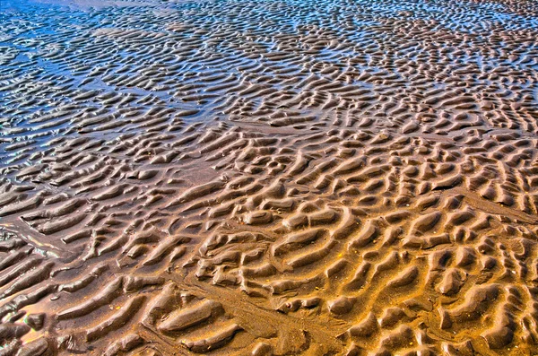 Воронки на пляже, Северное море, Зандворт под Амстердамом — стоковое фото