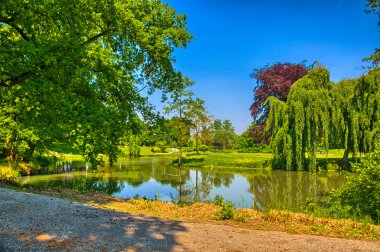 Bahar Park. Bahar park göl. Bahar manzara. Begren o