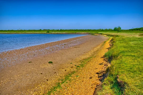 Sandy shore with green grass on sunny day, Holland, Netherlands, — Stock Photo, Image