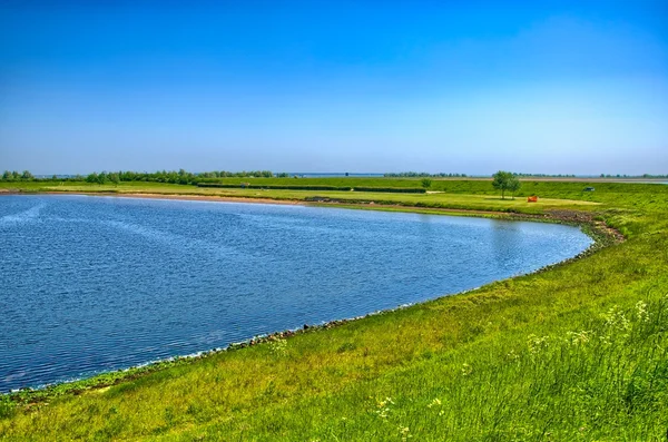 Lake shore with green grass on sunny day, Holland, Netherlands, — Stock Photo, Image