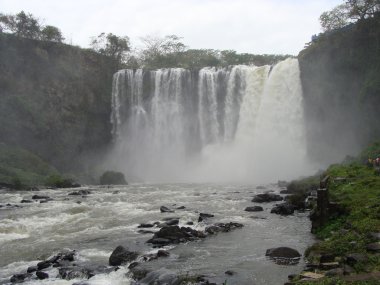 Şelale Veracruz devlet
