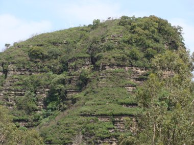 Büyük yeşil taşlar