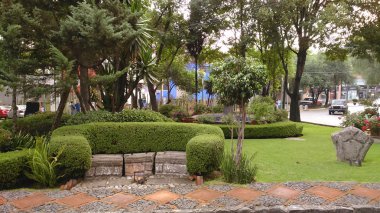 Mexico City mahallede San Angel adlı bir parkta Bank