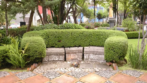 Bench in a park at San Angel neighbourhood in Mexico City — Stock Photo, Image