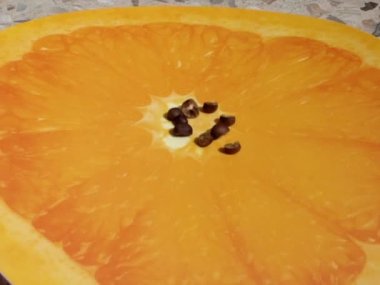 Meksika atlama fasulyesi