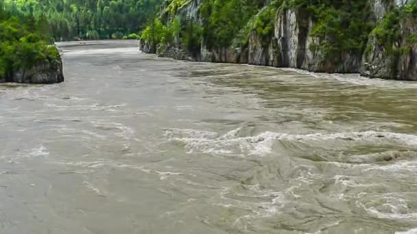 Río de montaña en Altai — Vídeos de Stock