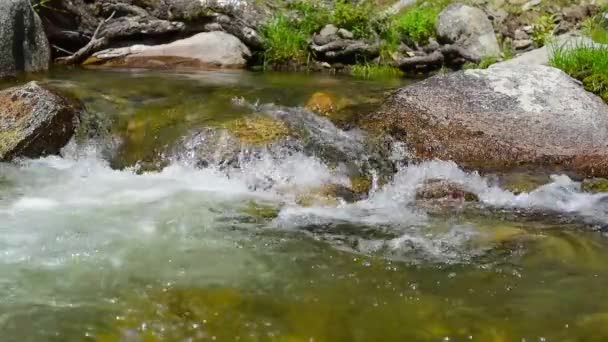 Поток чистого горного ручья — стоковое видео