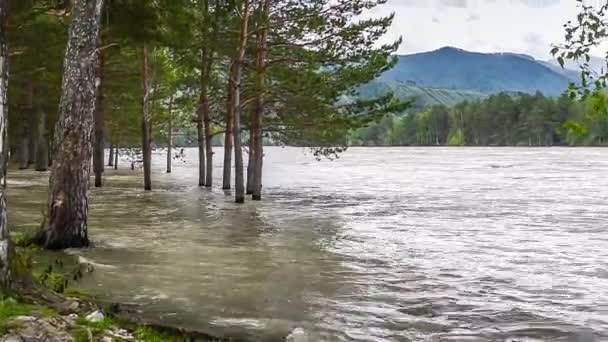 Altay nehirde dağ — Stok video