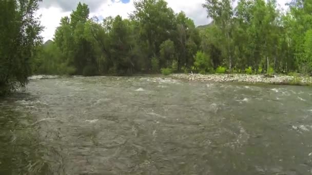 Ποτάμι βουνό στο Αλτάι — Αρχείο Βίντεο