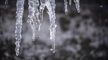 Icicle erir