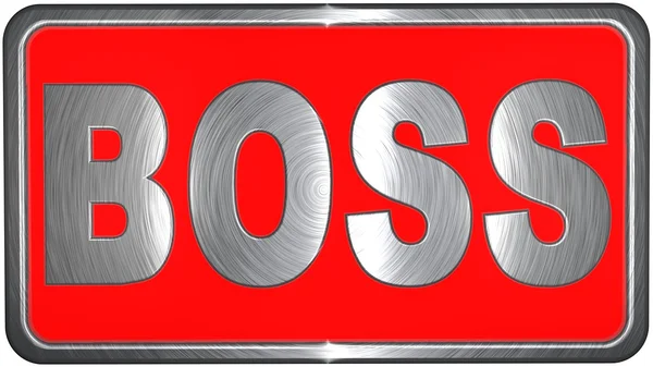 Boss-konceptet — Stockfoto